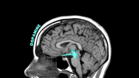 Brain love gif by general electric